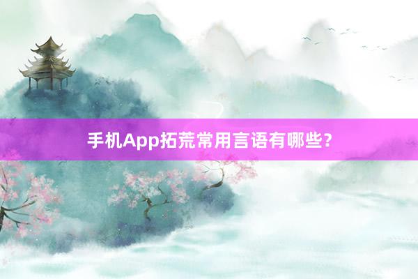 手机App拓荒常用言语有哪些？