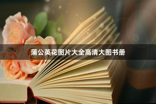 蒲公英花图片大全高清大图书册